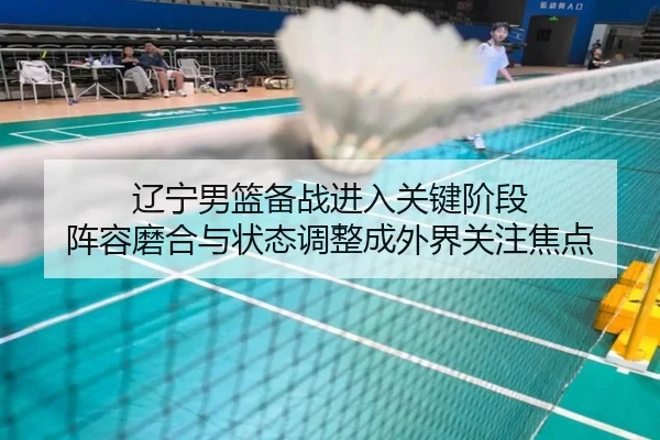 辽宁男篮备战进入关键阶段 阵容磨合与状态调整成外界关注焦点
